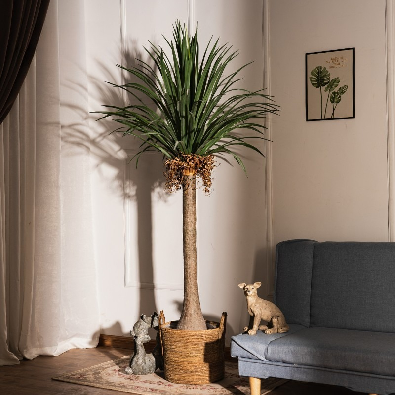 Dracena Artificiale Real-Touch - Baby Clothing Store recensione e prezzo